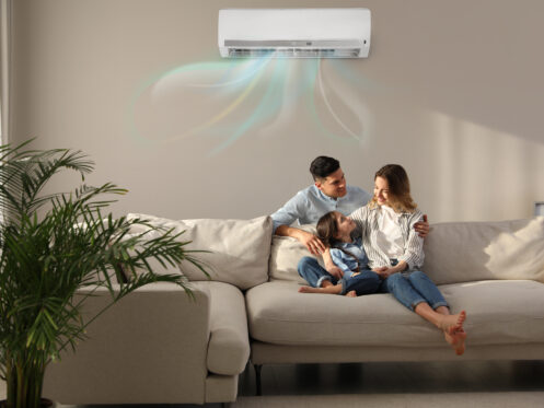 How Often Should a Ductless Mini-Split be Cleaned?